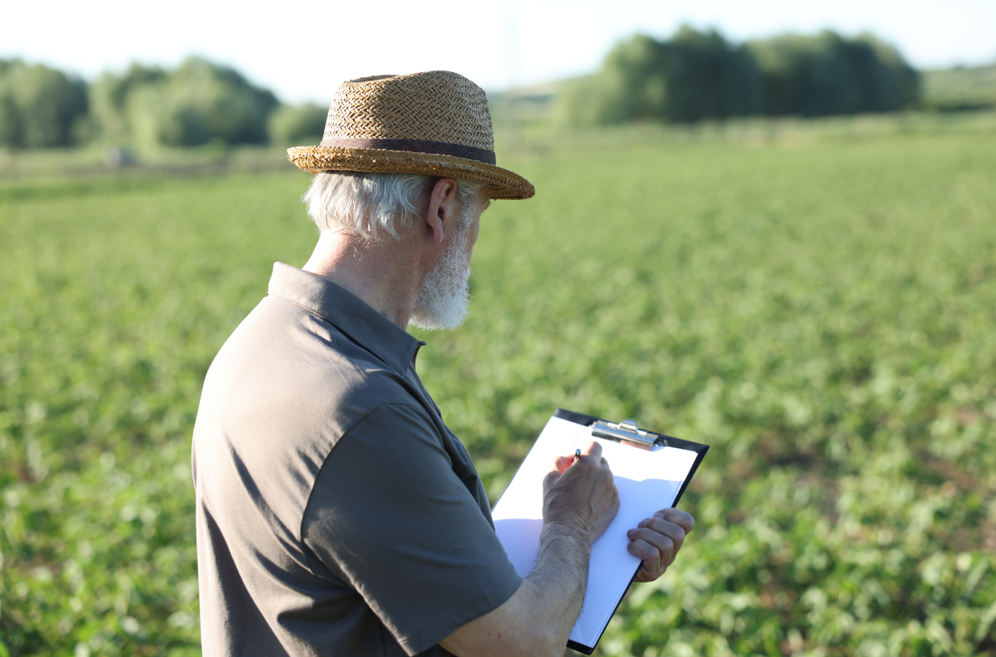 Limited Field Monitoring